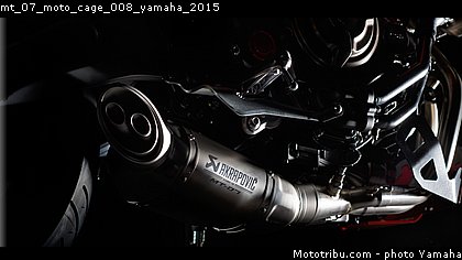 mt_07_moto_cage_008_yamaha_2015.jpg