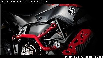 mt_07_moto_cage_010_yamaha_2015.jpg