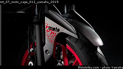 mt_07_moto_cage_012_yamaha_2015.jpg