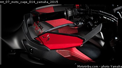 mt_07_moto_cage_014_yamaha_2015.jpg