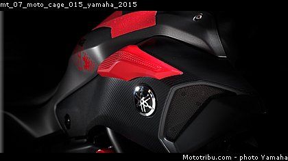 mt_07_moto_cage_015_yamaha_2015.jpg