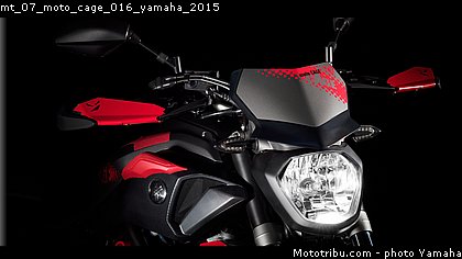 mt_07_moto_cage_016_yamaha_2015.jpg
