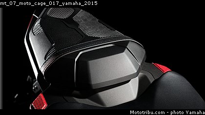 mt_07_moto_cage_017_yamaha_2015.jpg