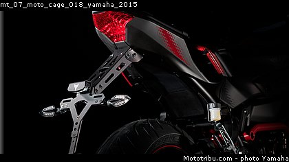 mt_07_moto_cage_018_yamaha_2015.jpg