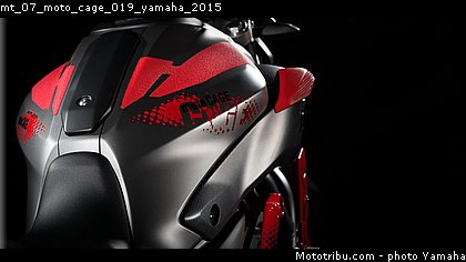 mt_07_moto_cage_019_yamaha_2015.jpg