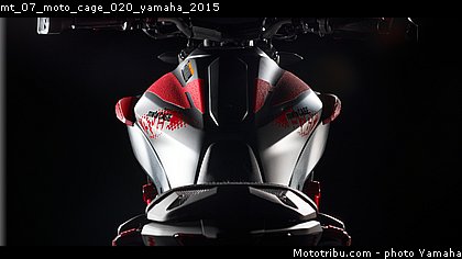 mt_07_moto_cage_020_yamaha_2015.jpg