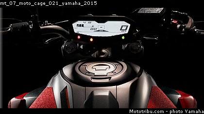 mt_07_moto_cage_021_yamaha_2015.jpg