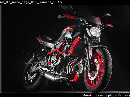 mt_07_moto_cage_022_yamaha_2015.jpg