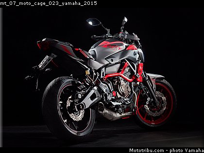mt_07_moto_cage_023_yamaha_2015.jpg