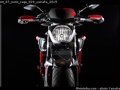 mt_07_moto_cage_024_yamaha_2015.jpg