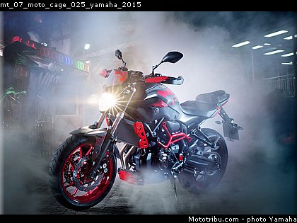 mt_07_moto_cage_025_yamaha_2015.jpg
