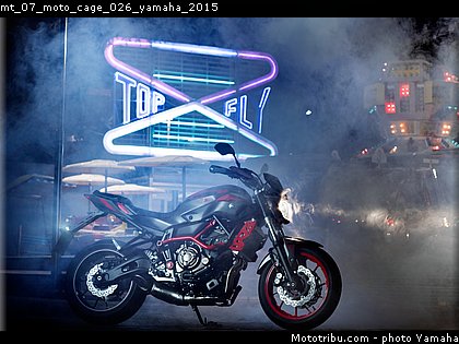 mt_07_moto_cage_026_yamaha_2015.jpg