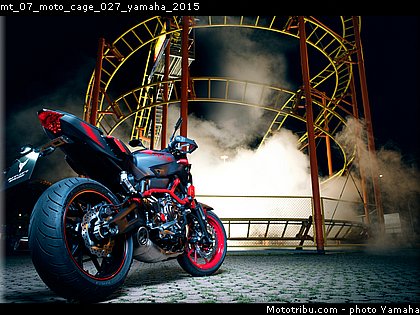 mt_07_moto_cage_027_yamaha_2015.jpg