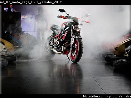 mt_07_moto_cage_028_yamaha_2015.jpg