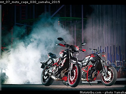 mt_07_moto_cage_030_yamaha_2015.jpg