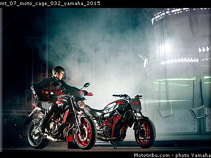 mt_07_moto_cage_032_yamaha_2015.jpg