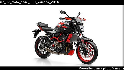 mt_07_moto_cage_033_yamaha_2015.jpg
