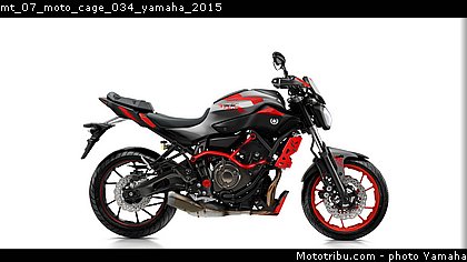 mt_07_moto_cage_034_yamaha_2015.jpg