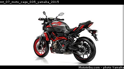 mt_07_moto_cage_035_yamaha_2015.jpg