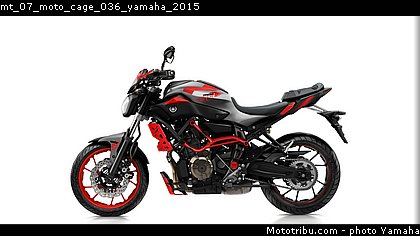 mt_07_moto_cage_036_yamaha_2015.jpg