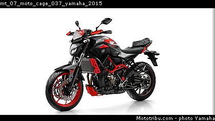 mt_07_moto_cage_037_yamaha_2015.jpg