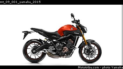 mt_09_001_yamaha_2015.jpg