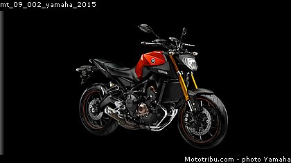 mt_09_002_yamaha_2015.jpg