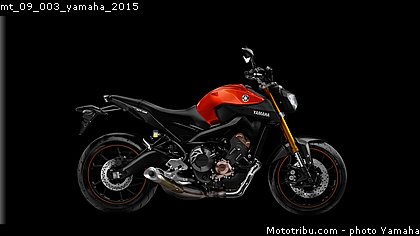 mt_09_003_yamaha_2015.jpg