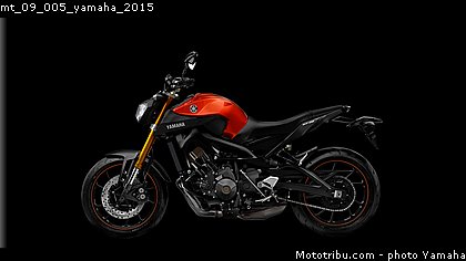mt_09_005_yamaha_2015.jpg