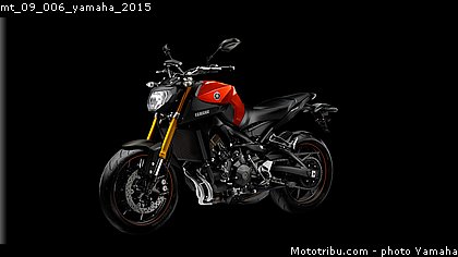 mt_09_006_yamaha_2015.jpg
