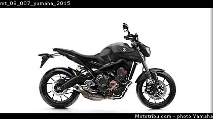 mt_09_007_yamaha_2015.jpg