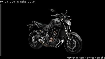 mt_09_008_yamaha_2015.jpg