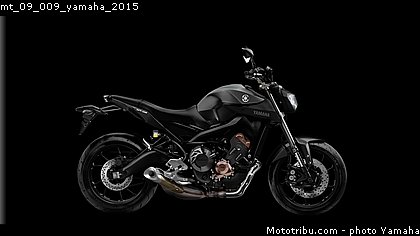 mt_09_009_yamaha_2015.jpg