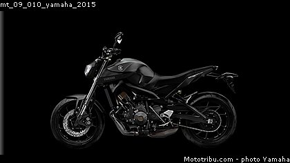 mt_09_010_yamaha_2015.jpg