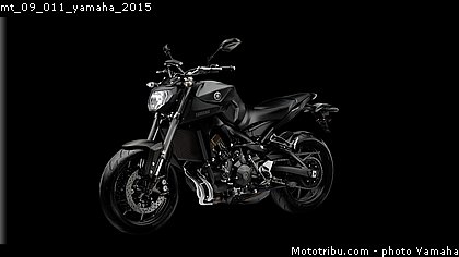 mt_09_011_yamaha_2015.jpg