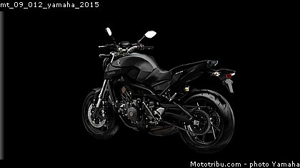 mt_09_012_yamaha_2015.jpg