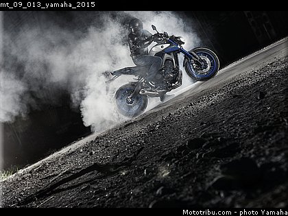 mt_09_013_yamaha_2015.jpg