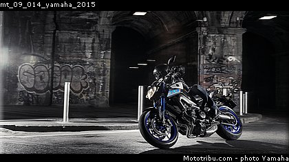 mt_09_014_yamaha_2015.jpg