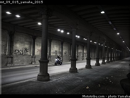 mt_09_015_yamaha_2015.jpg