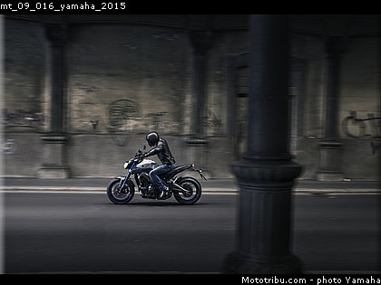 mt_09_016_yamaha_2015.jpg