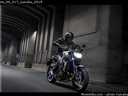 mt_09_017_yamaha_2015.jpg