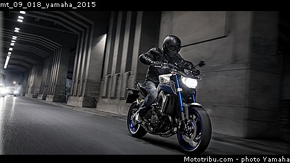 mt_09_018_yamaha_2015.jpg