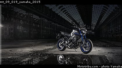 mt_09_019_yamaha_2015.jpg