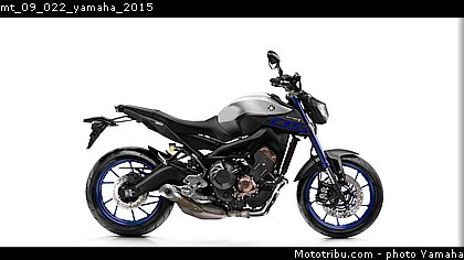 mt_09_022_yamaha_2015.jpg