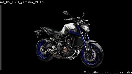 mt_09_023_yamaha_2015.jpg