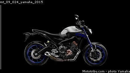 mt_09_024_yamaha_2015.jpg