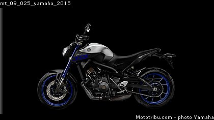 mt_09_025_yamaha_2015.jpg