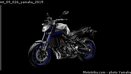 mt_09_026_yamaha_2015.jpg