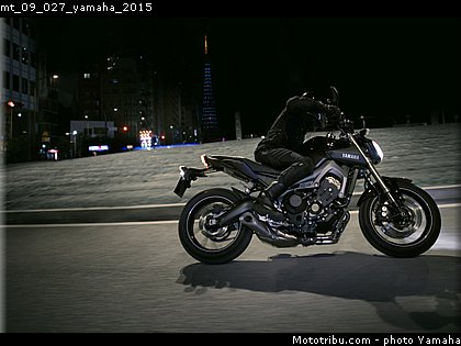 mt_09_027_yamaha_2015.jpg