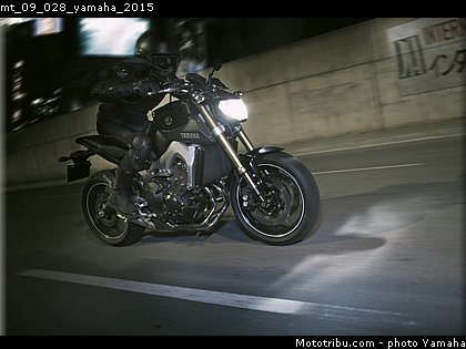 mt_09_028_yamaha_2015.jpg